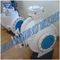 Pig Valve